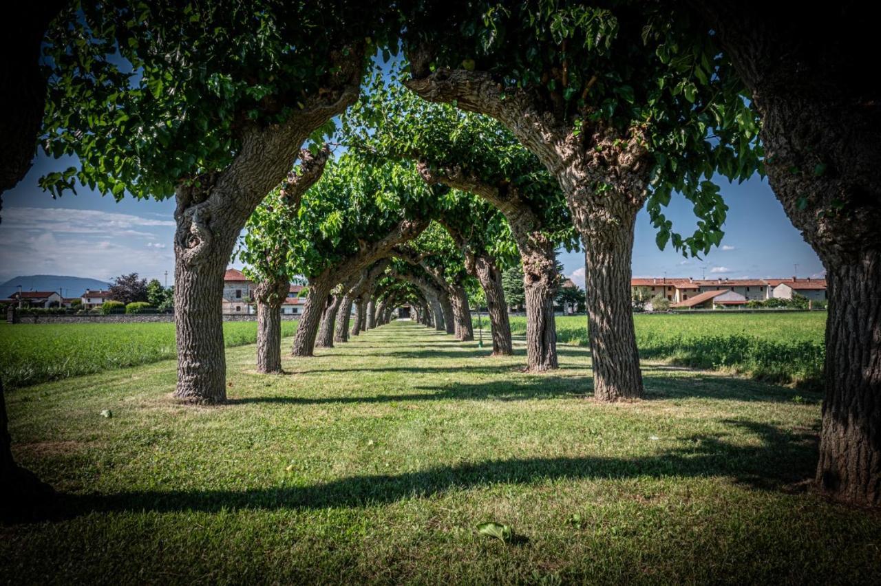 Villa Minini Bed & Breakfast Rive d'Arcano Buitenkant foto